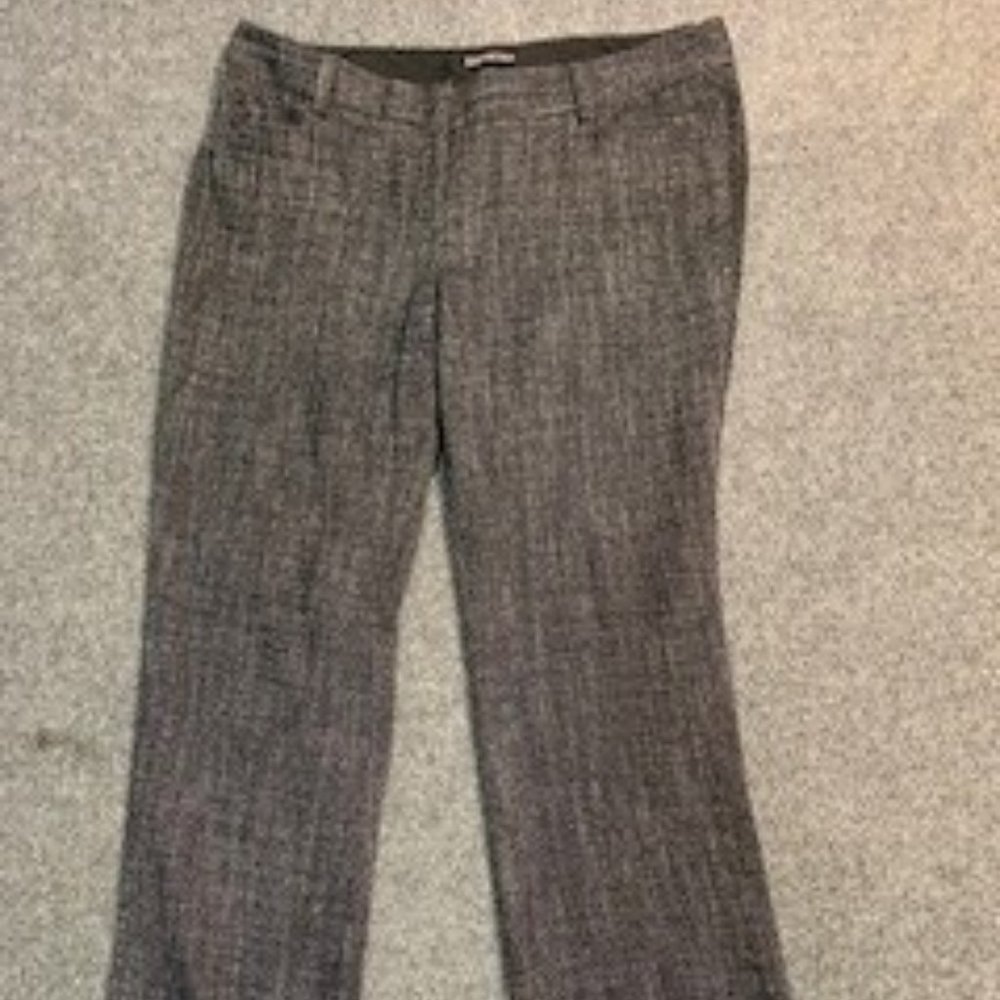 Fabulous Express Business Pants